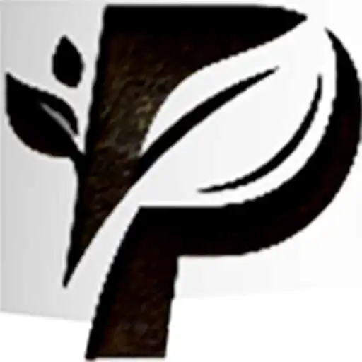 Play Producators APK Play Producators APK