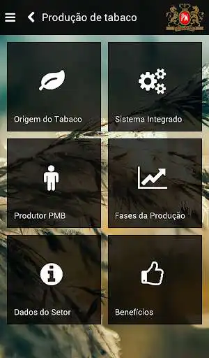 Play Produtor Philip Morris as an online game Produtor Philip Morris with UptoPlay