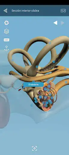 Play PROEDUCA VR-3D as an online game PROEDUCA VR-3D with UptoPlay