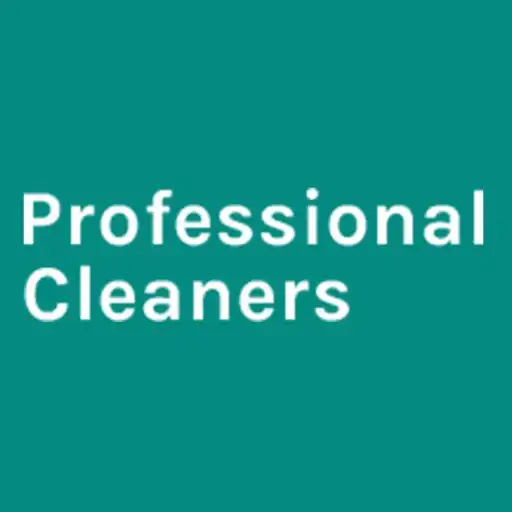Play Professional Cleaners APK Play Professional Cleaners APK