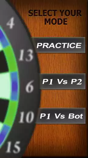 Play Professional Darts 3D
