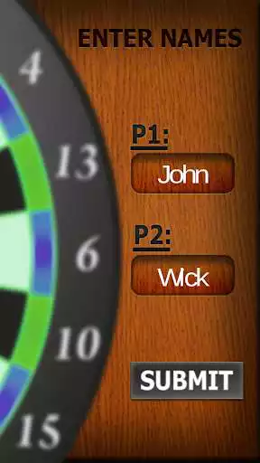 Play Professional Darts 3D