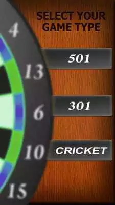 Play Professional Darts 3D