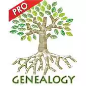 Free play online Professional Genealogy APK
