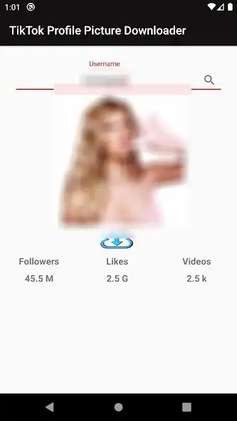 Play Profile Photo Downloader for TikTok as an online game Profile Photo Downloader for TikTok with UptoPlay