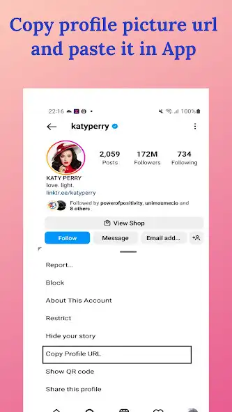 Play Profile picture play online Insta  and enjoy Profile picture play online Insta with UptoPlay