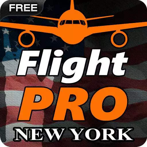 Free play online Pro Flight Simulator NY Free APK