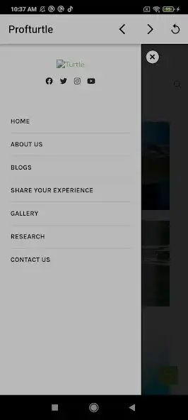 Play Profturtle as an online game Profturtle with UptoPlay