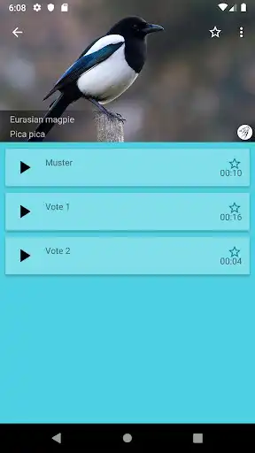 Play Progressive decoy of crows Play Progressive decoy of crows