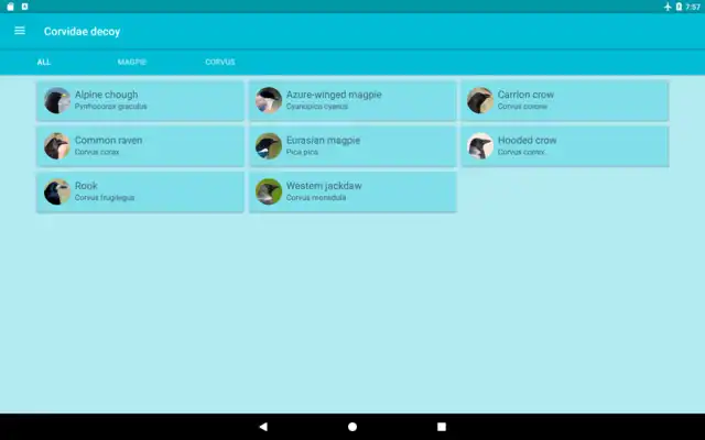 Play Progressive decoy of crows Play Progressive decoy of crows