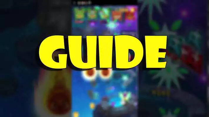 Play Pro Guide Everwing New