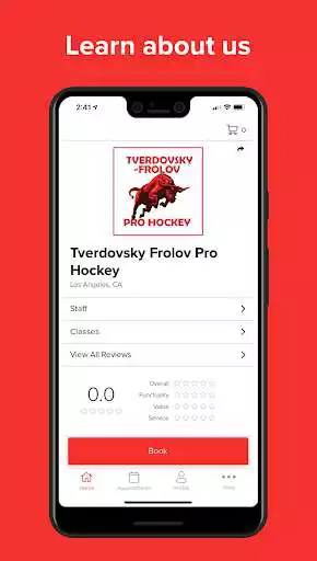 Play Pro Hockey