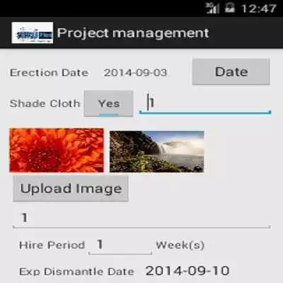 Play Project Management
