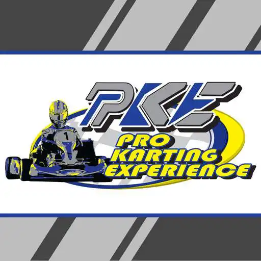 Play Pro Karting Experience APK