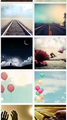 Play Prol writing on the images