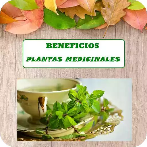 Play Propiedades PlantasMedicinales APK