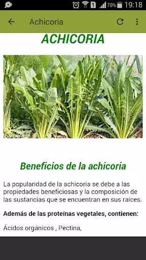 Play Propiedades PlantasMedicinales  and enjoy Propiedades PlantasMedicinales with UptoPlay