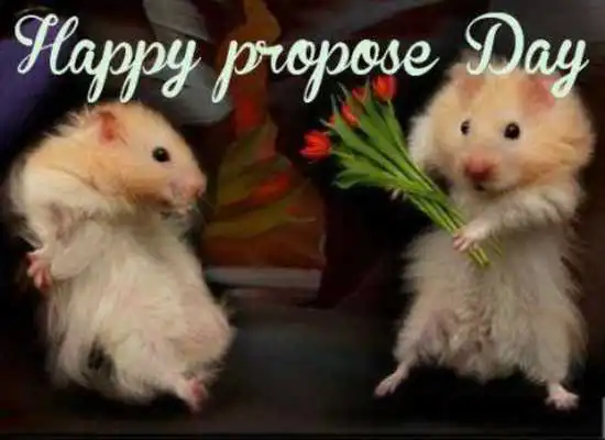 Play Propose Day 2016