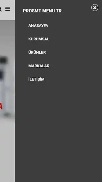 Play ProSMT Elektronik as an online game ProSMT Elektronik with UptoPlay