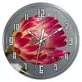 Free play online Proteas Clock Live Wallpaper APK