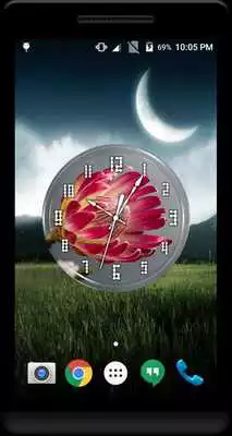 Play Proteas Clock Live Wallpaper