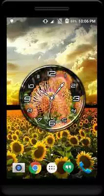 Play Proteas Clock Live Wallpaper