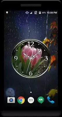 Play Proteas Clock Live Wallpaper