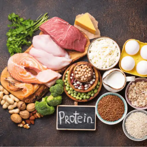 Play Protein Rich Foods APK