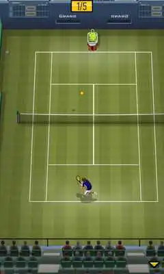 Play Pro Tennis 2013