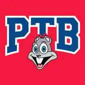 Free play online Pro Town Baby APK