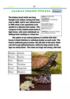 Play Protyle Magazine Issue 2