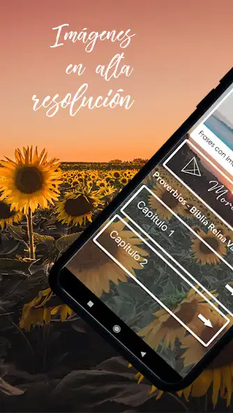 Play Proverbios Bíblicos y Libro and enjoy Proverbios Bíblicos y Libro with UptoPlay Play Proverbios Bíblicos y Libro and enjoy Proverbios Bíblicos y Libro with UptoPlay