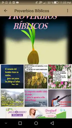 Play Proverbios_biblicos