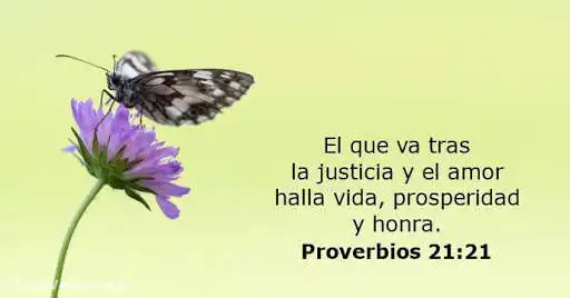 Play proverbios de la biblia  and enjoy proverbios de la biblia with UptoPlay