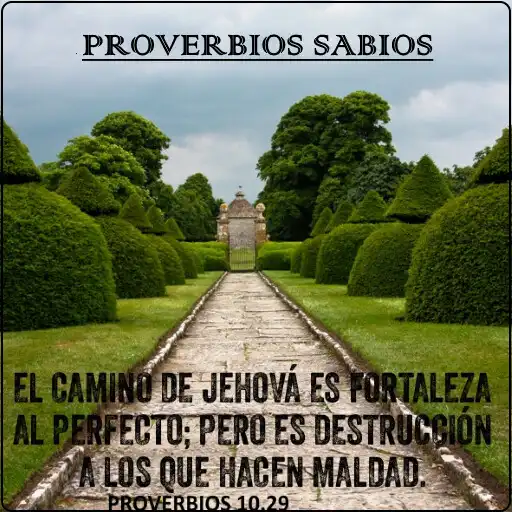 Play Proverbios Sabios APK