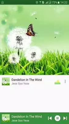 Play Pro VLC Music Player