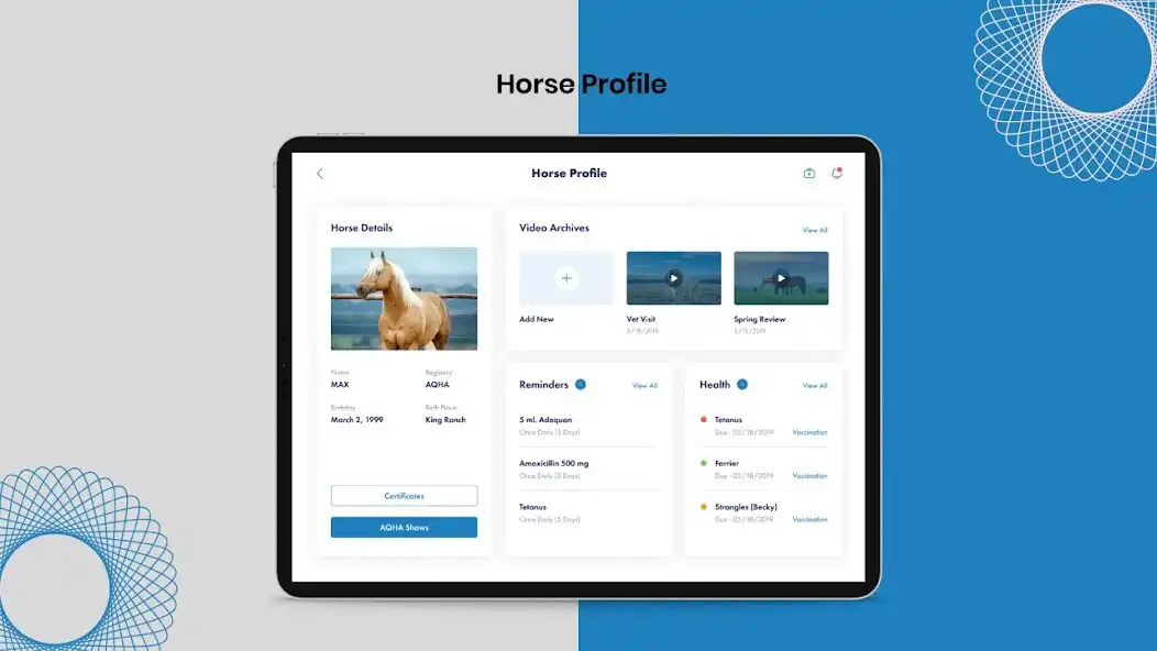 Play Prox Equine  and enjoy Prox Equine with UptoPlay