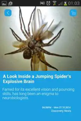 Play Pryone Social News Play Pryone Social News