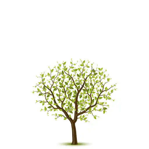 Play P.S. 211 Elm Tree Elementary APK
