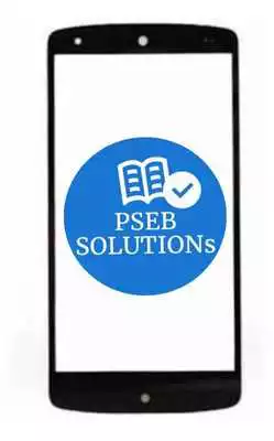 Play Pseb Solutions
