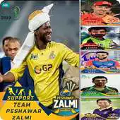 Free play online PSL Profile Picture 2019 APK