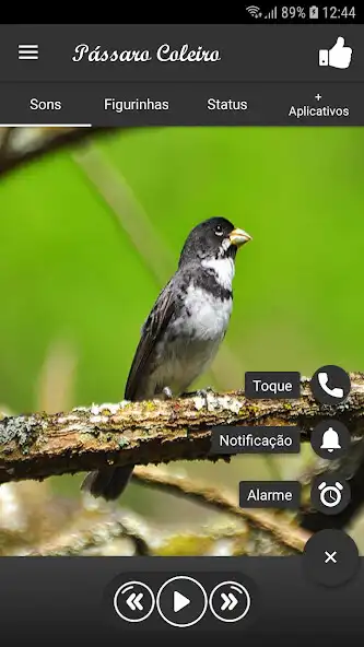 Play Pássaro Coleiro as an online game Pássaro Coleiro with UptoPlay