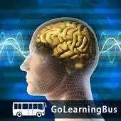 Free play online Psychology 101 APK