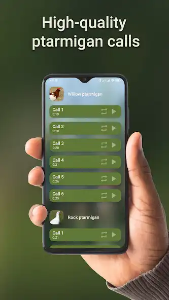 Play Ptarmigan hunting calls  and enjoy Ptarmigan hunting calls with UptoPlay