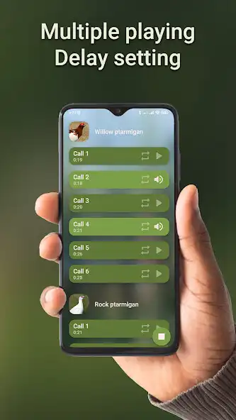 Play Ptarmigan hunting calls as an online game Ptarmigan hunting calls with UptoPlay