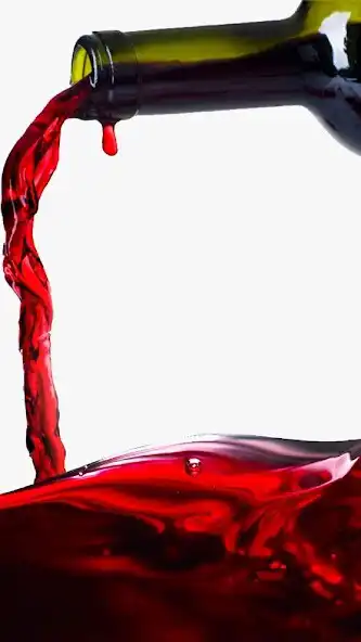 Play Ptmose  and enjoy Ptmose with UptoPlay