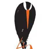 Free play online Ptown International Film Fest APK