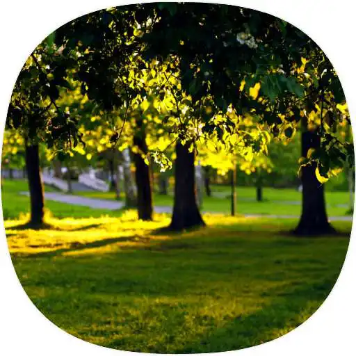 Play Public Park Sounds APK