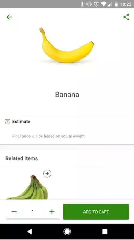 Play Publix