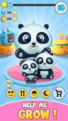 Play Pu - Cute giant panda bear, baby pet care game
